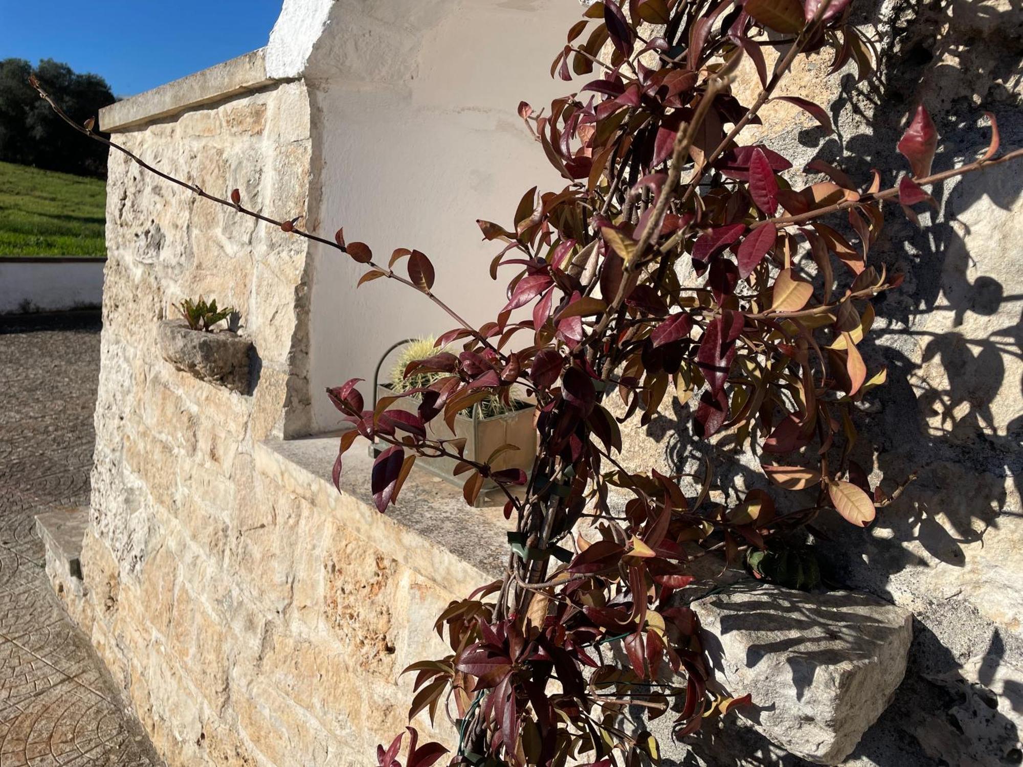Trulli Del Sole Villa Martina Franca Exterior foto