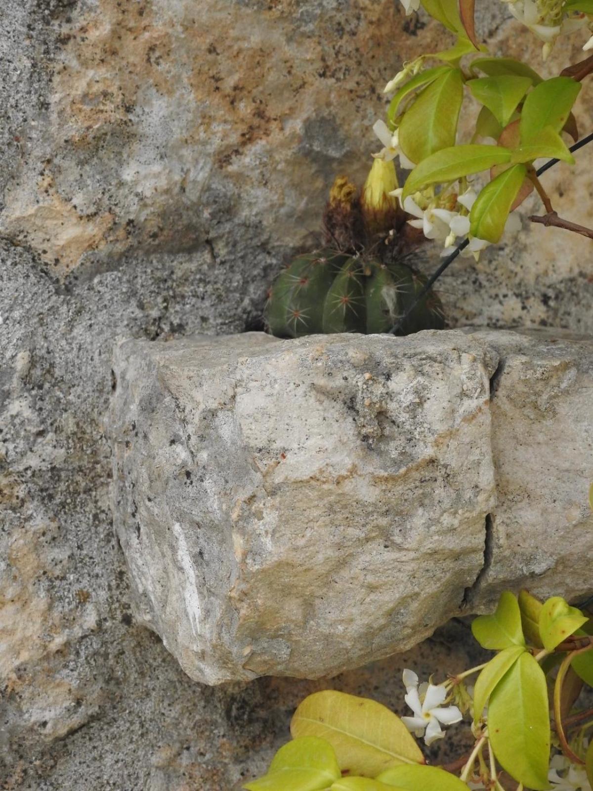 Trulli Del Sole Villa Martina Franca Exterior foto